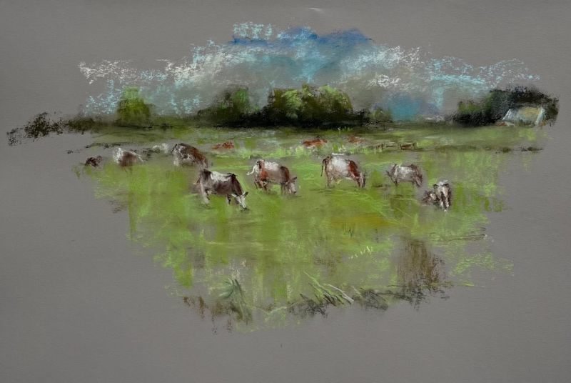 2024 0016 ppl img large 2024 0016 ppl img large